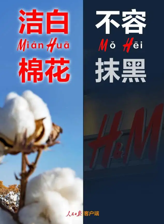 潔白棉花，不容抹黑，花榮華與華一起
